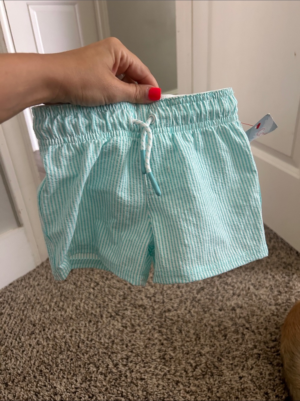 Cat & Jack Toddler swim trunks - NEW